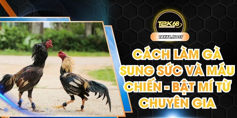 Cách làm gà sung sức và máu chiến